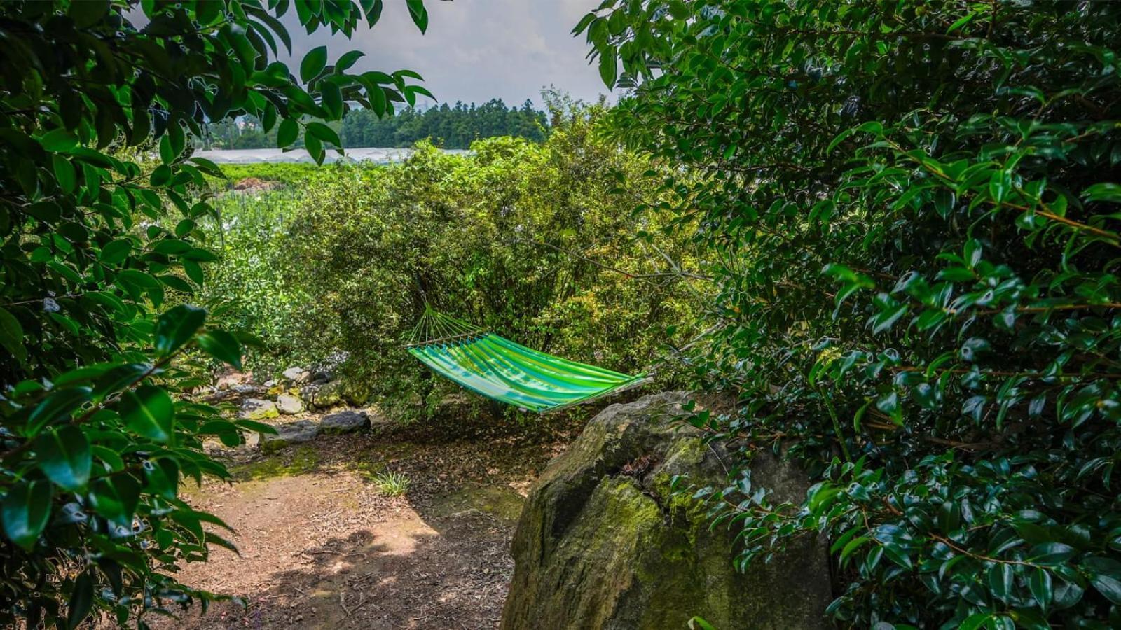 Jeju Eco Suites Сеогвипо Екстериор снимка