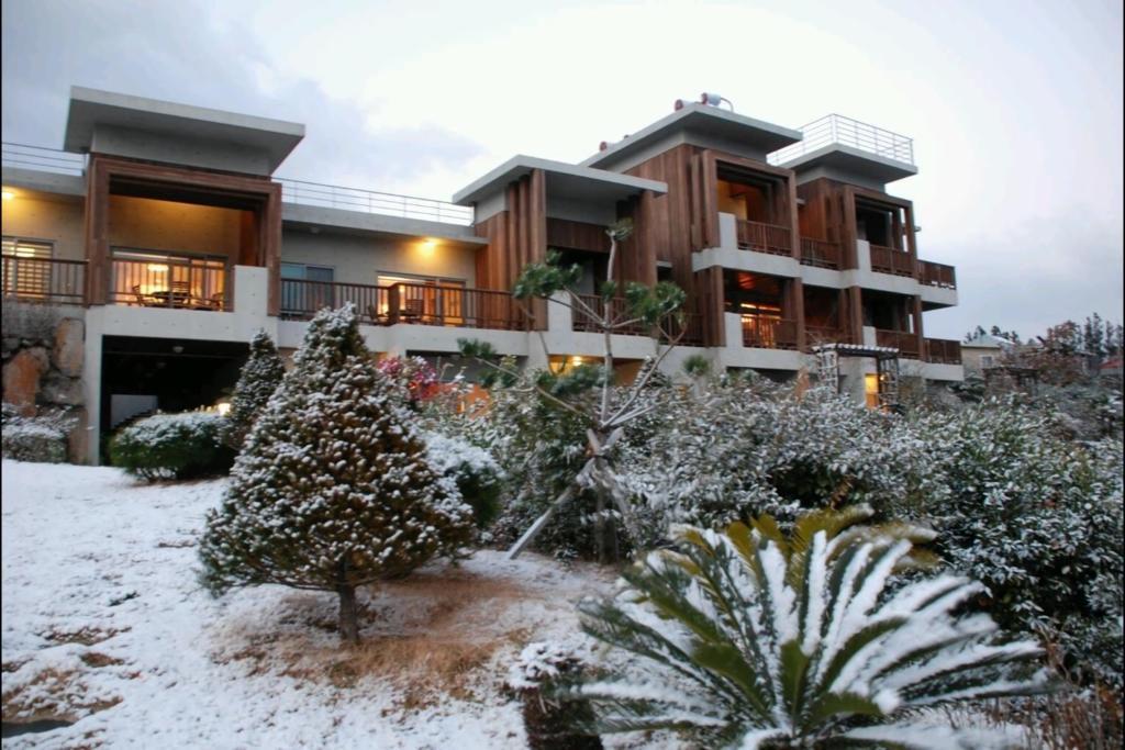 Jeju Eco Suites Сеогвипо Екстериор снимка
