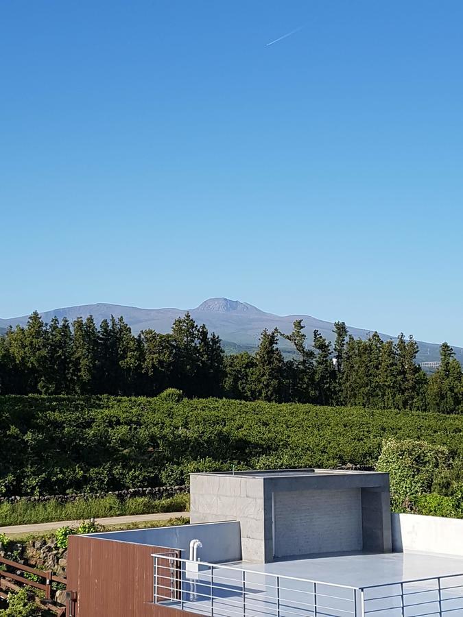 Jeju Eco Suites Сеогвипо Екстериор снимка
