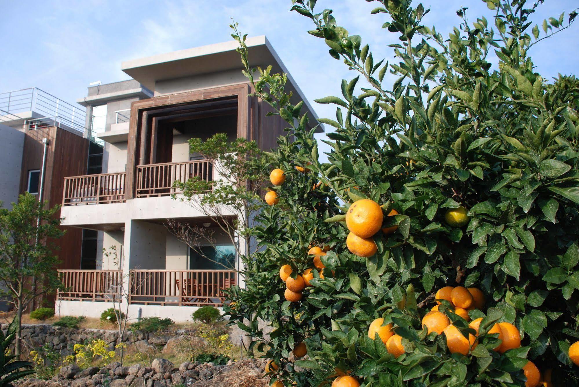 Jeju Eco Suites Сеогвипо Екстериор снимка