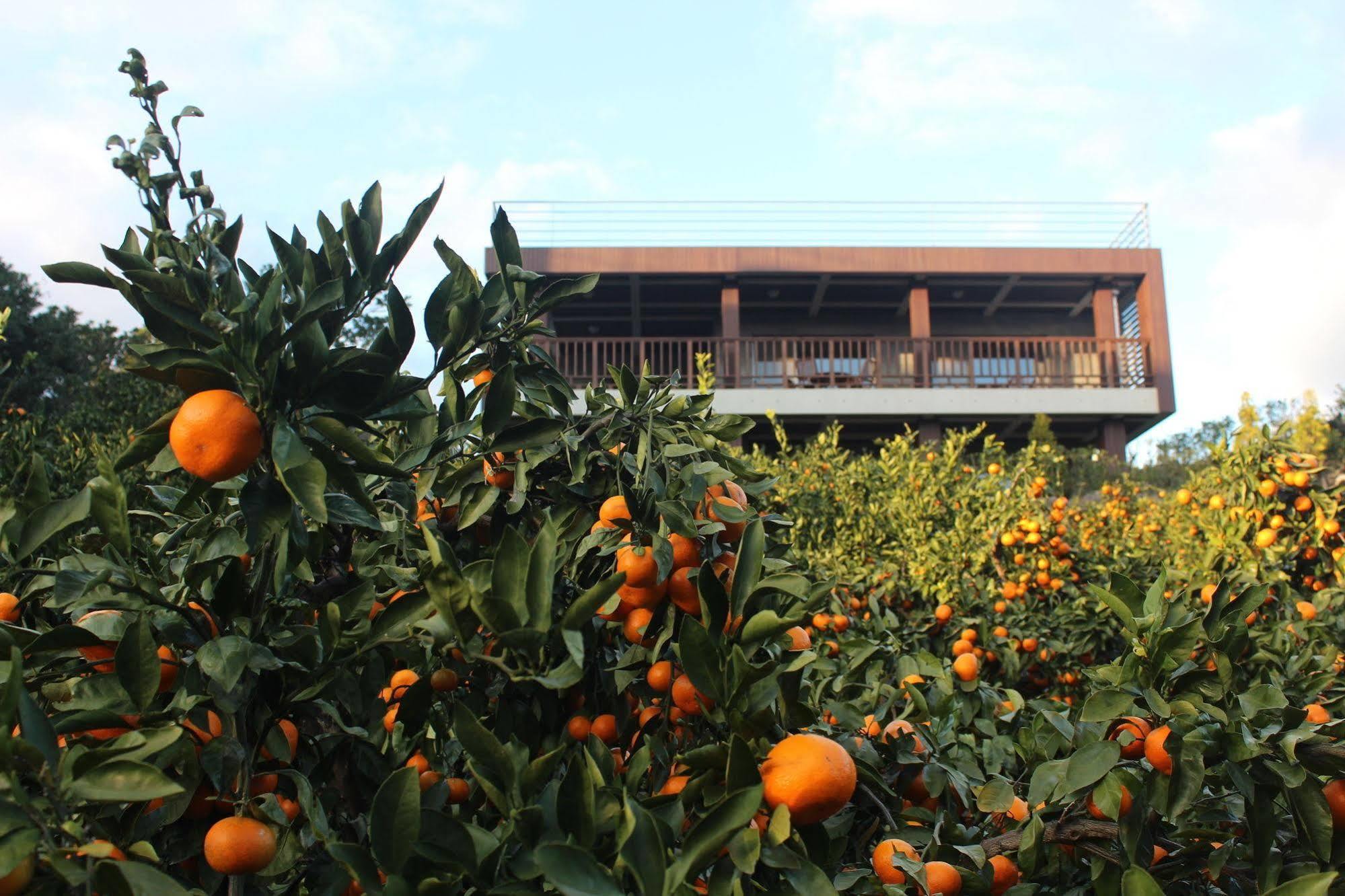 Jeju Eco Suites Сеогвипо Екстериор снимка